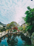 小院