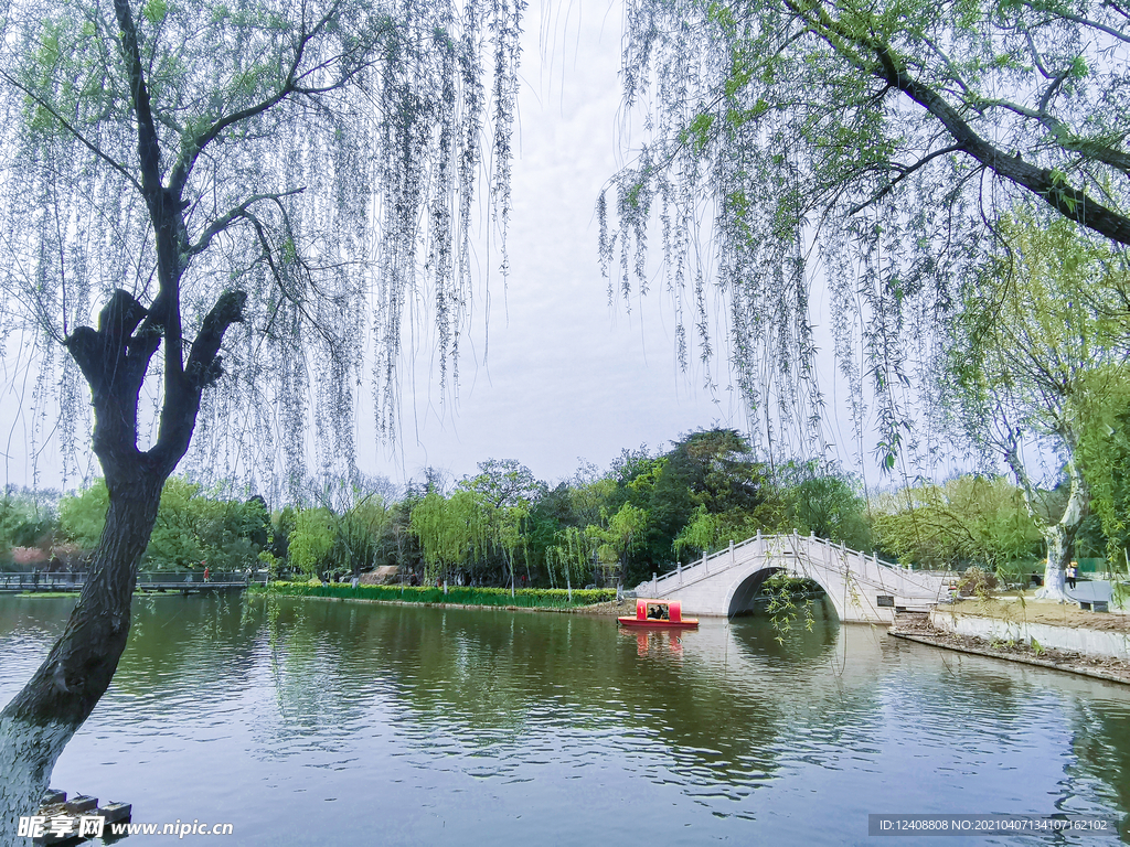 风景