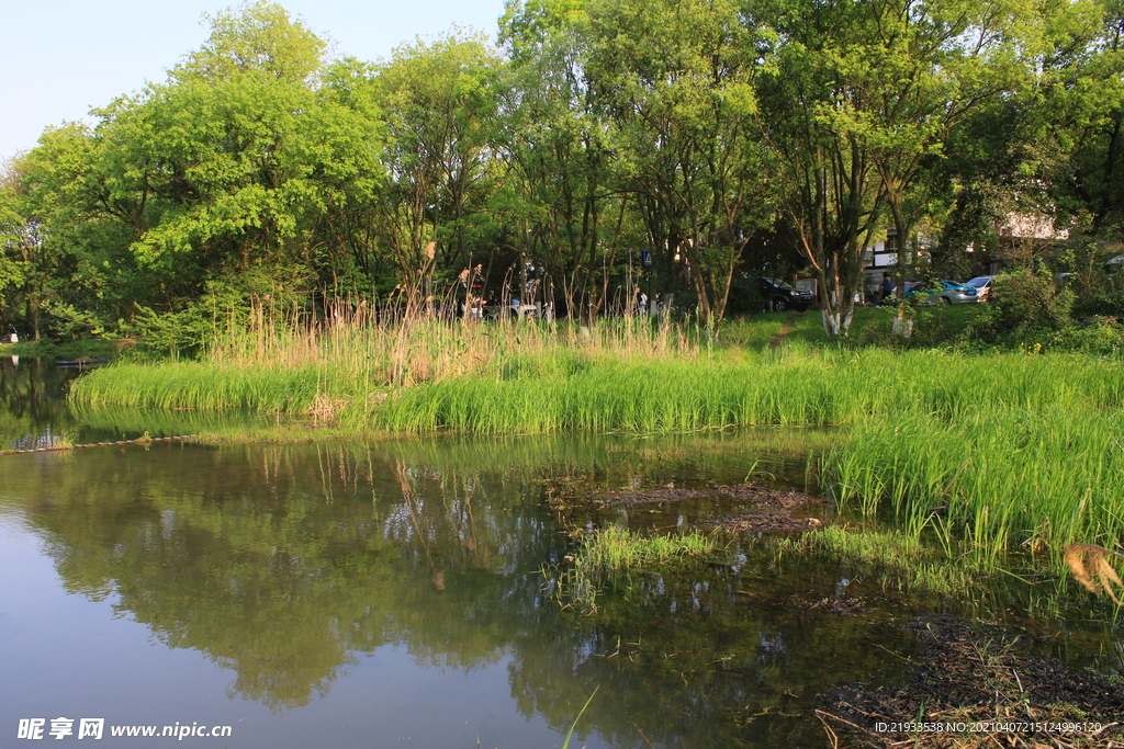 湿地公园自然式生态驳岸