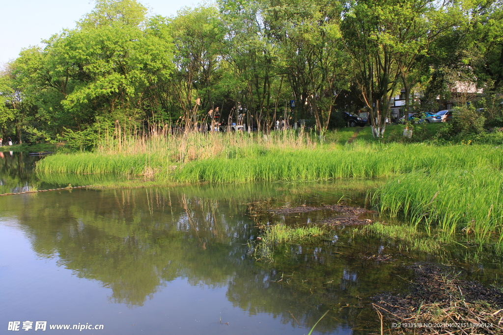 湿地公园自然式生态驳岸
