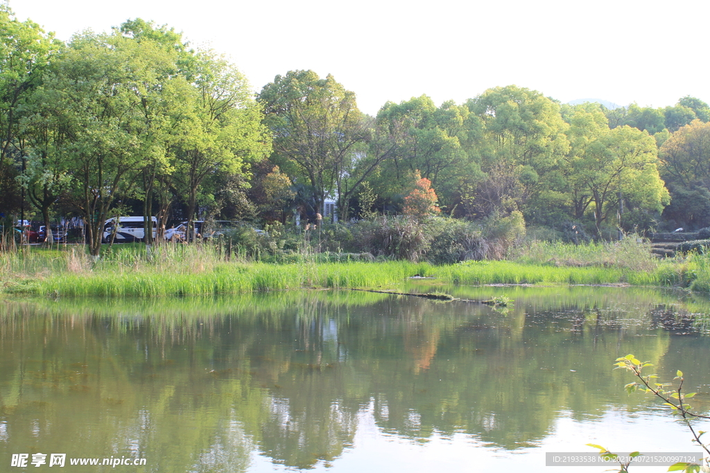 湿地公园生态驳岸