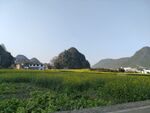 万峰林
