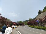 醇酒厂景区