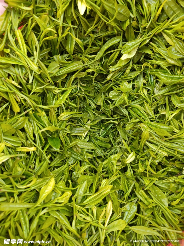 茶