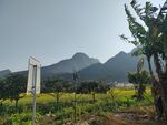万峰林风光