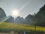 万峰林风光