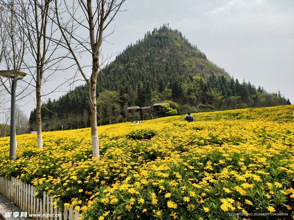 兴义醇酒厂风景区攻略,兴义醇酒厂风景区门票/游玩攻略/地址/图片/门票价格【携程攻略】