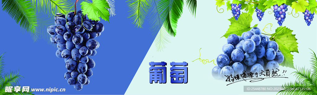 葡萄