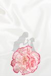 母亲节