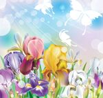 彩色鸢尾花丛