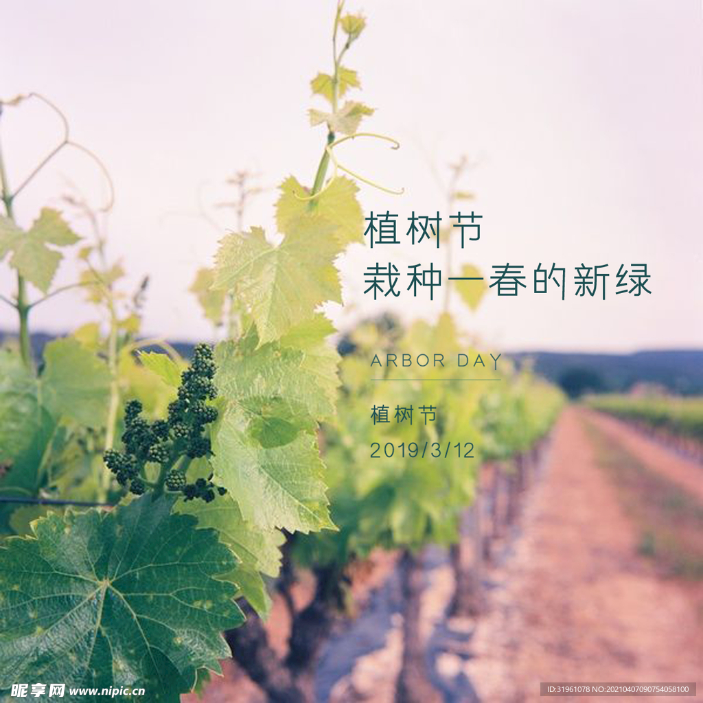 植树节