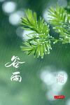 谷雨