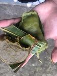 清明粿