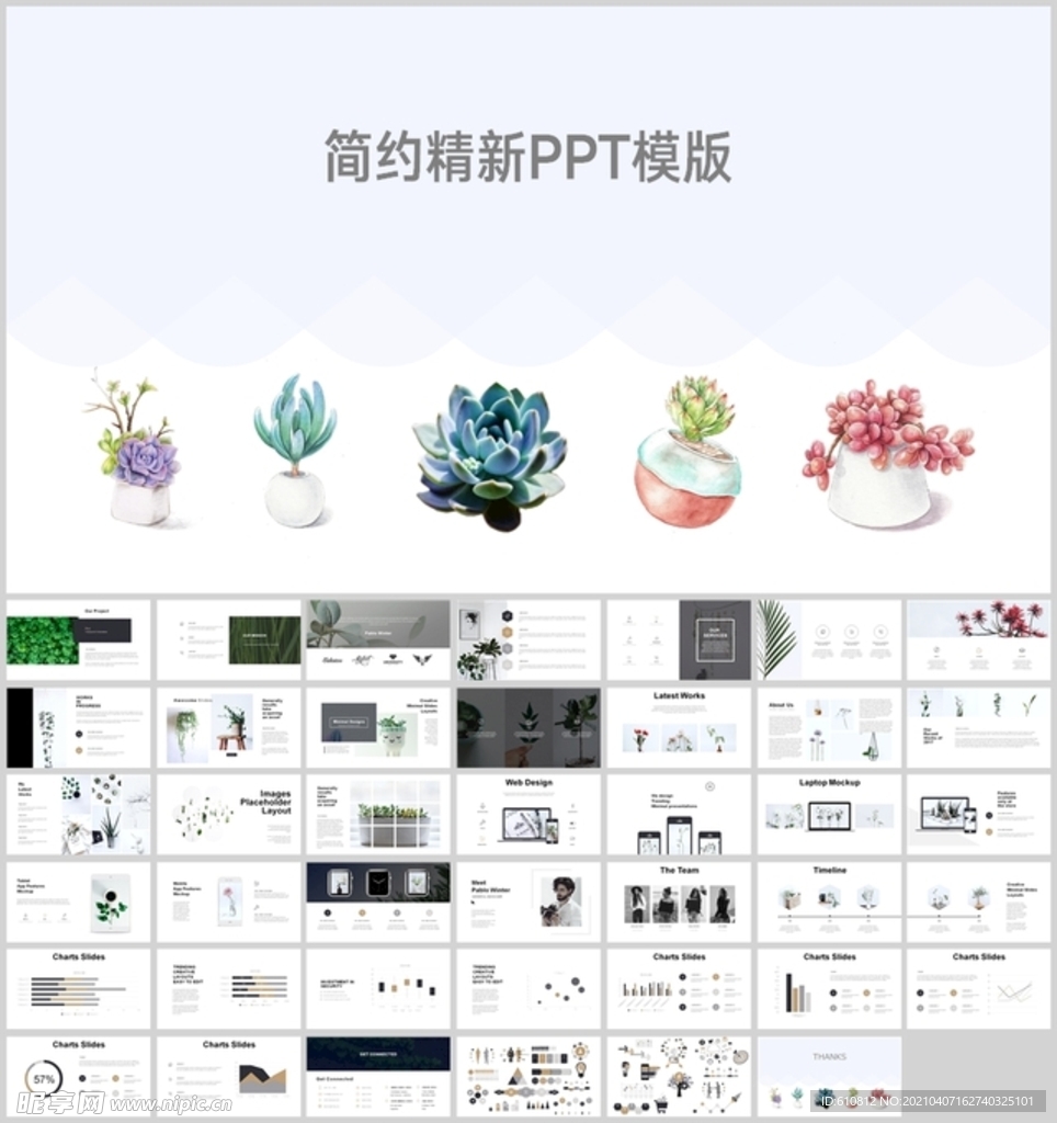 清新PPT   简约PPT