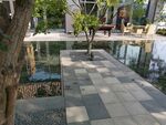 郑州  永威   森林花语  