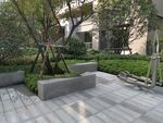郑州  永威   森林花语  