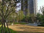 郑州  永威   森林花语  