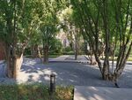 郑州  永威   森林花语  