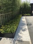 北京  世贸  西山  龙胤 