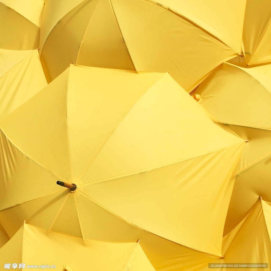 黄色伞背景