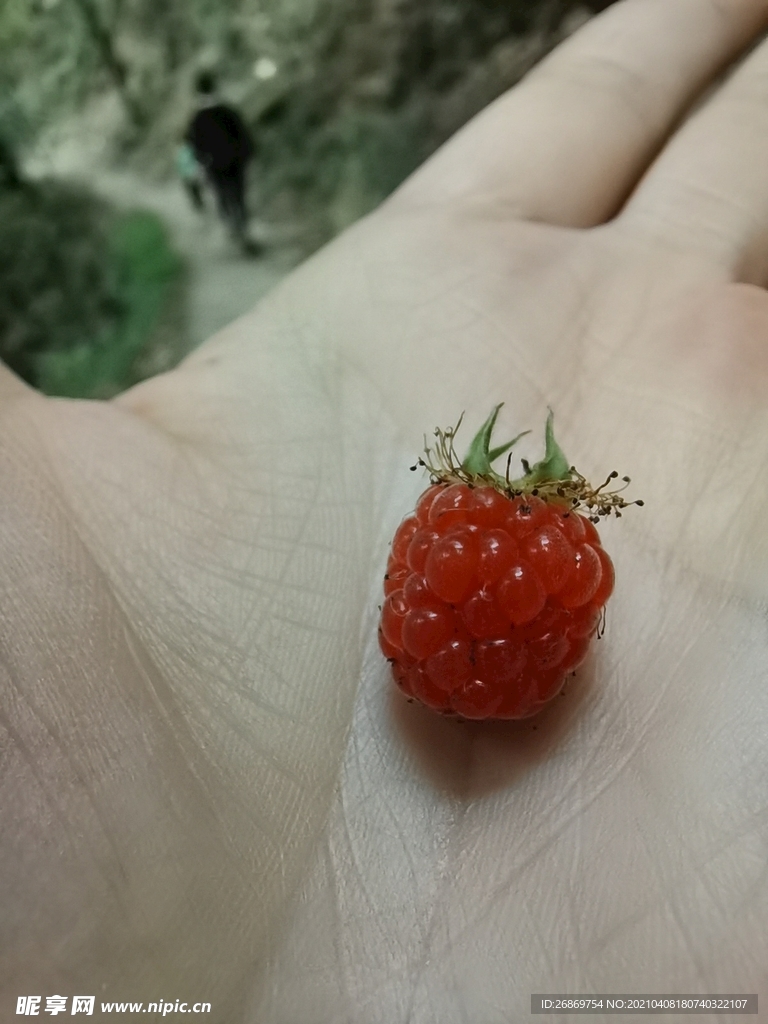 三月泡