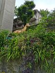 张飞古道
