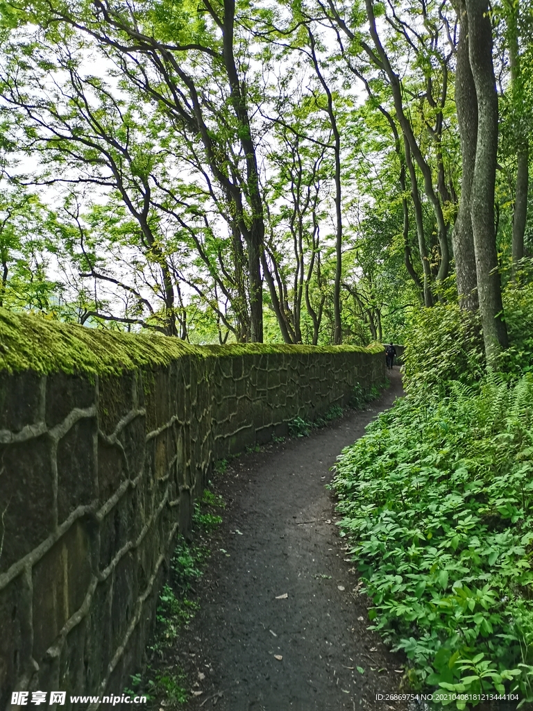 张飞古道