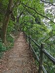 张飞古道