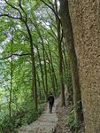 张飞古道
