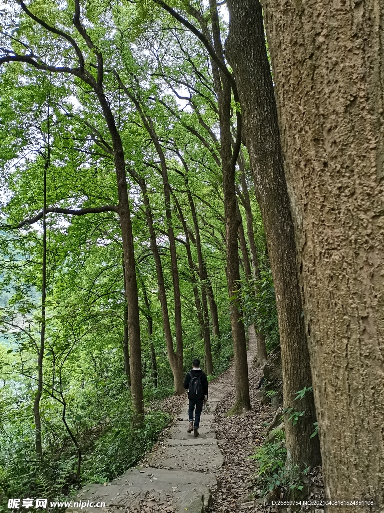 张飞古道