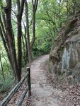 张飞古道
