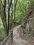 张飞古道
