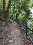 张飞古道