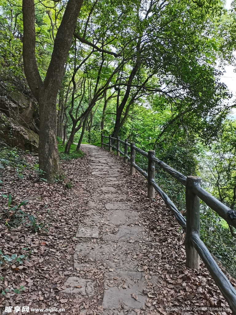 张飞古道
