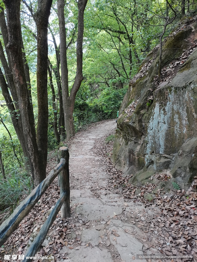 张飞古道