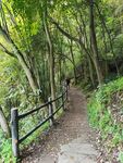 林荫古道