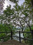 古道风景