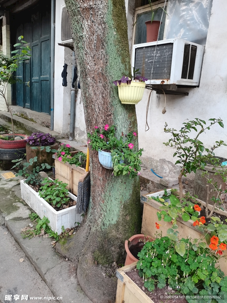 老街景色