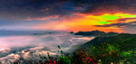 杨岐山上杜鹃红
