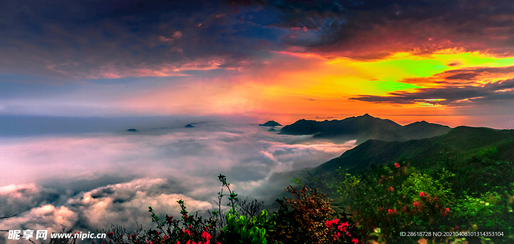 杨岐山上杜鹃红