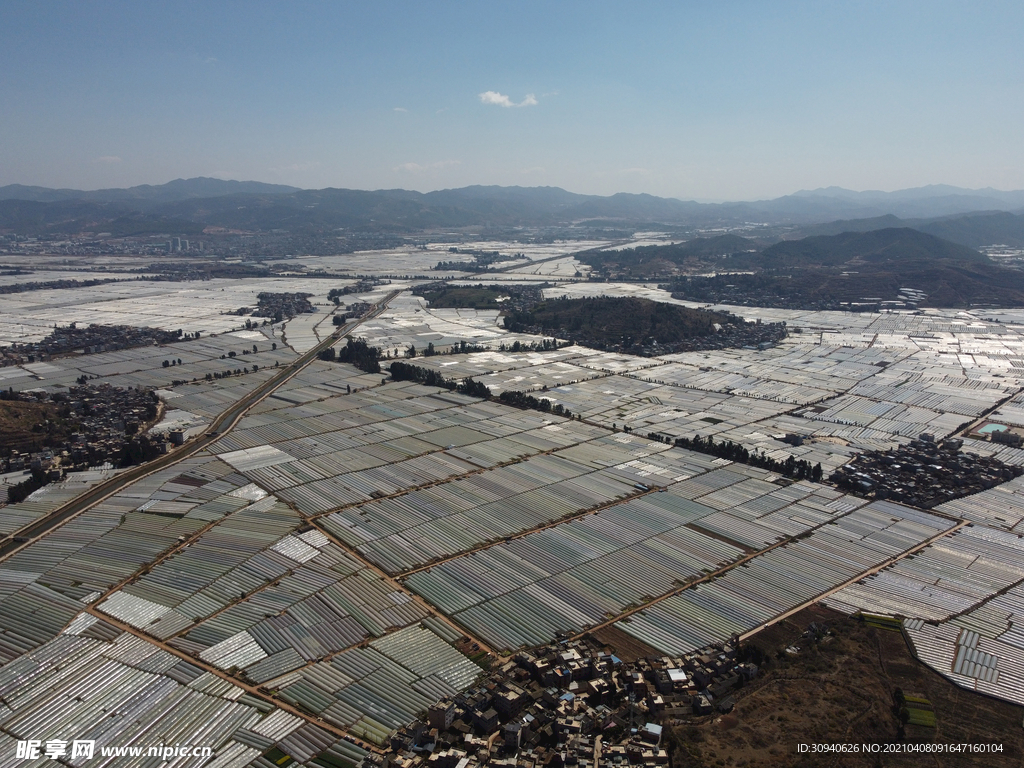 田野