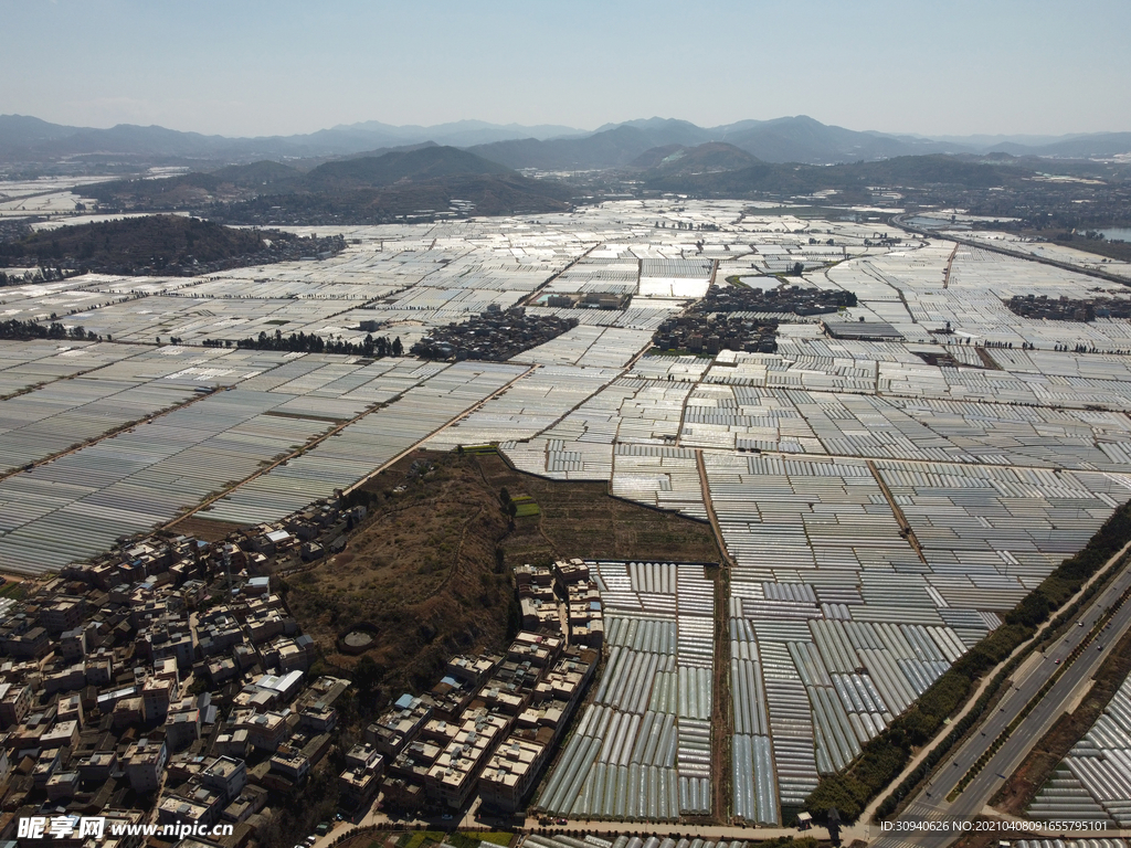 田野