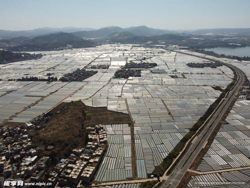 田野