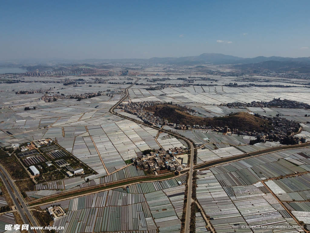 田野