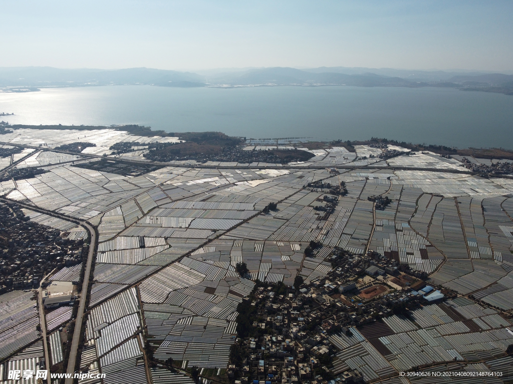 田野