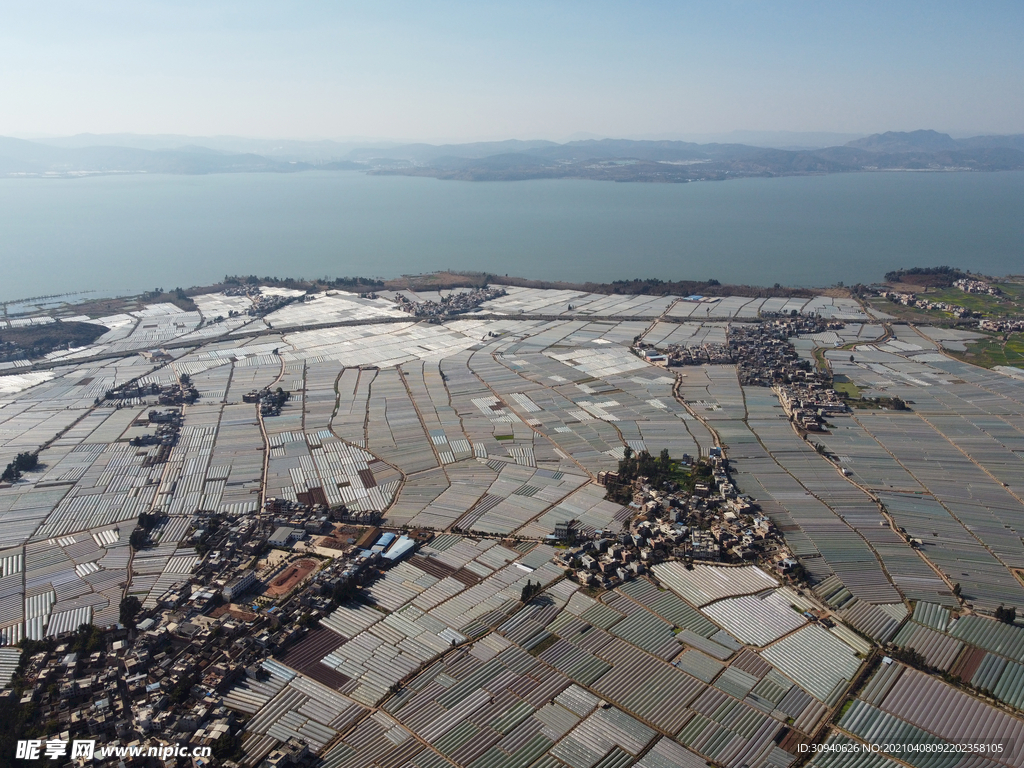 滇池湿地