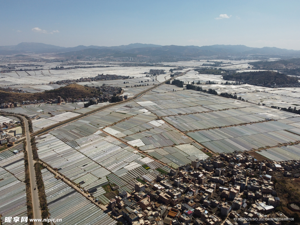 田野