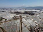 田野