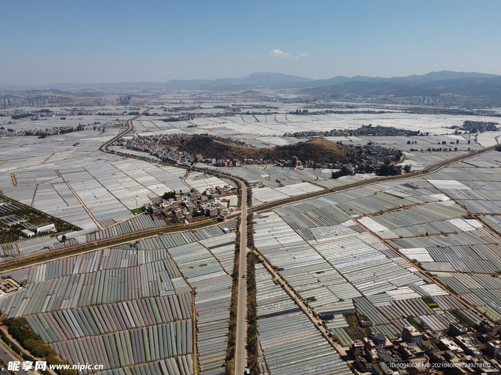 田野