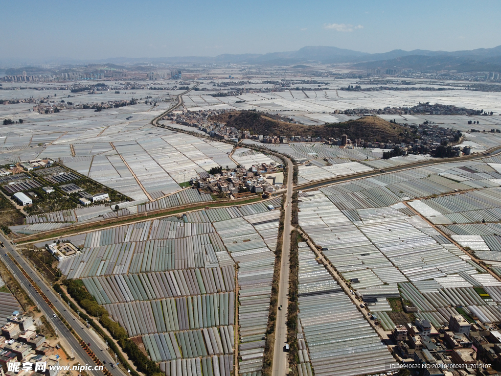 田野